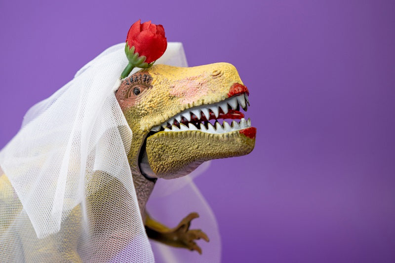 All About Birdesmaids: How To Deal With A"Bridezilla" Bride