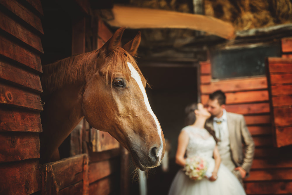 10 Bridesmaid Dresses Perfect for Farm Wedding