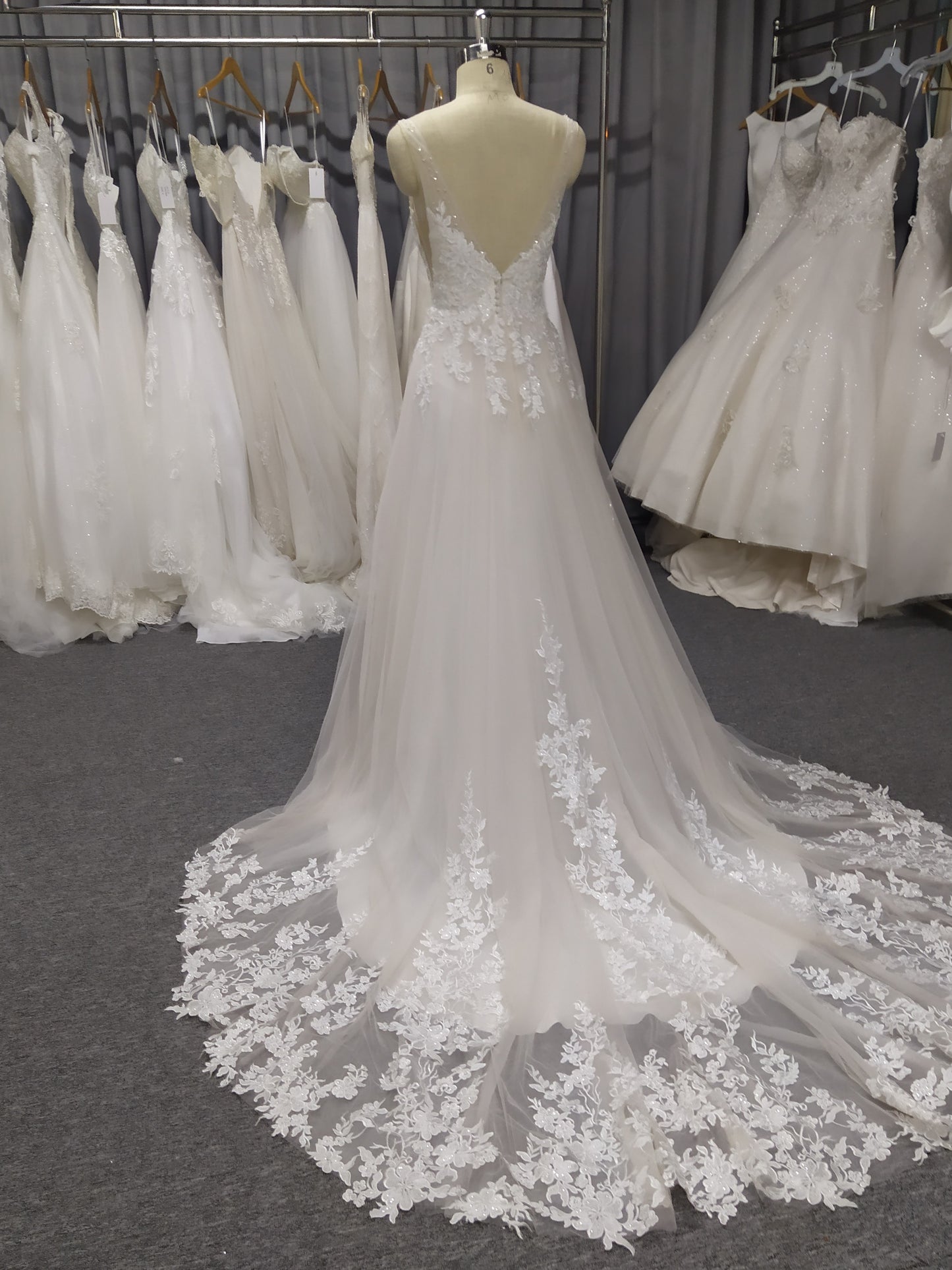A-Line V-neck Court Train Wedding Dresses With Lace